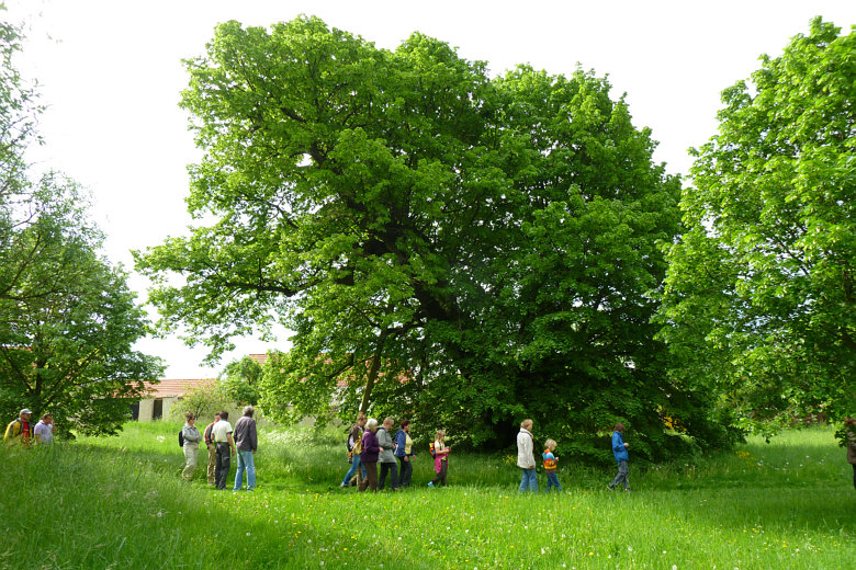 Heimatverein Steigra e.V.